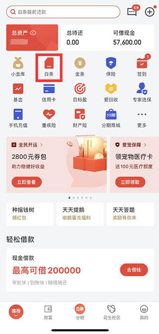 京东白条app