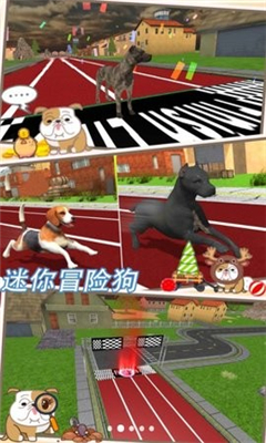 迷你冒险狗游戏