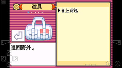 口袋妖怪绿宝石随机版截图2