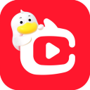 点淘APP