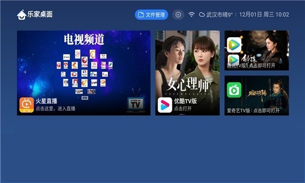 乐家桌面tv版截图3