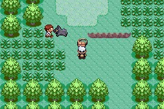 口袋妖怪神兽领域全神兽版