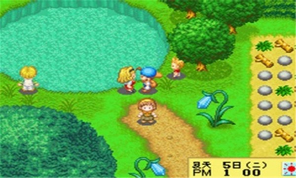 开罗赛马牧场物语