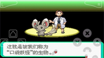 口袋妖怪漆黑的魅影5.0ex截图2