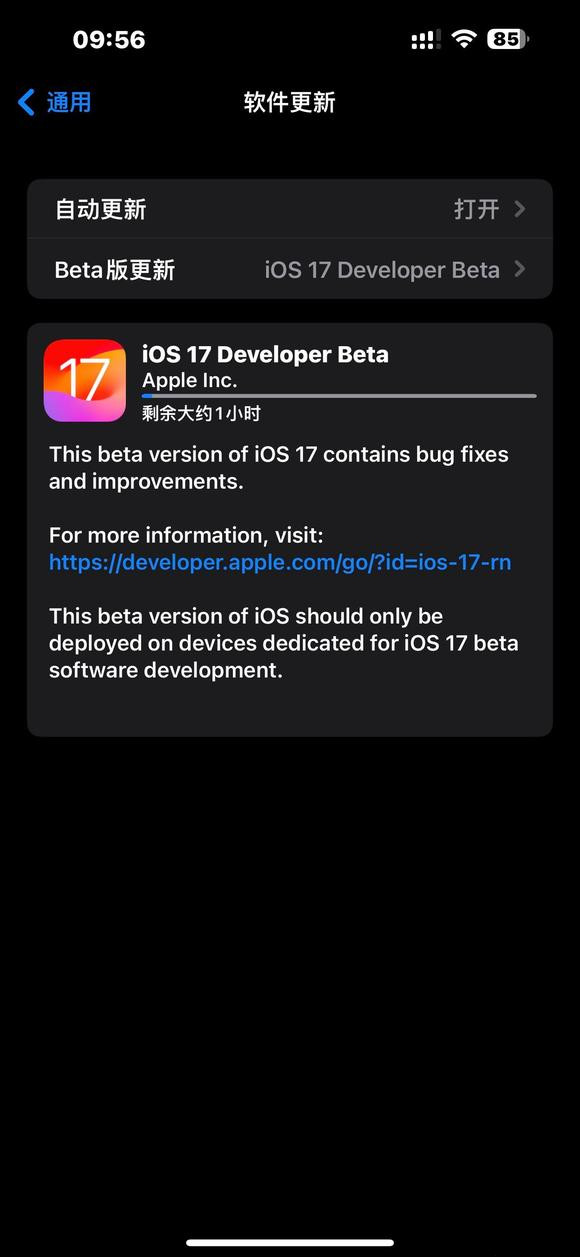 iOS Launcher14截图2