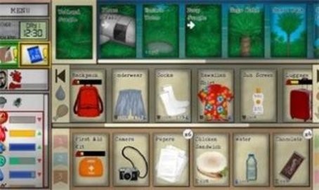 卡牌生存热带岛屿mod中文版