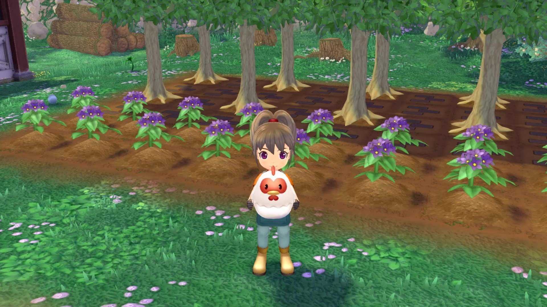 赛马牧场物语汉化版截图2