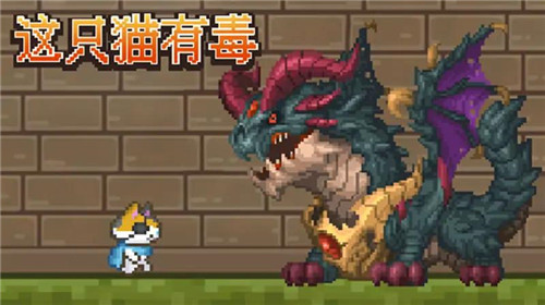 这只猫有毒截图3