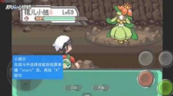 口袋妖怪黑白2汉化版