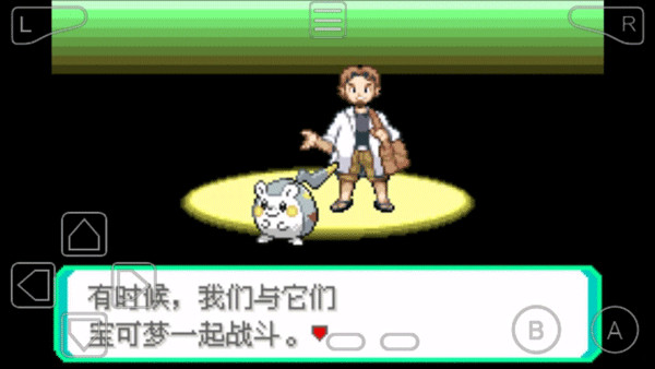 究极绿宝石5.5汉化版截图2