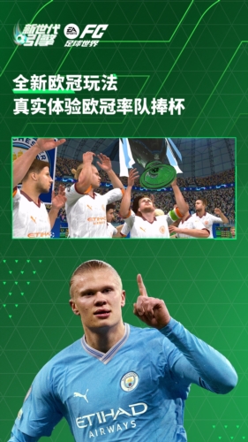 FIFA足球世界世界杯截图2