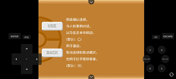 口袋妖怪燃之智汉化版15