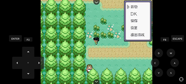 口袋妖怪燃之智汉化版17