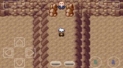 口袋妖怪黑白2中文版