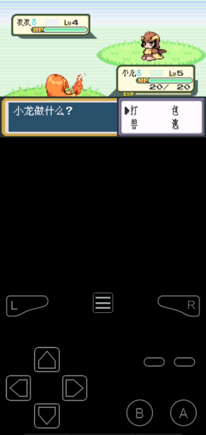 口袋妖怪火红全随机版