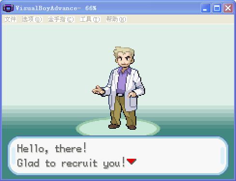 口袋妖怪火箭队汉化版