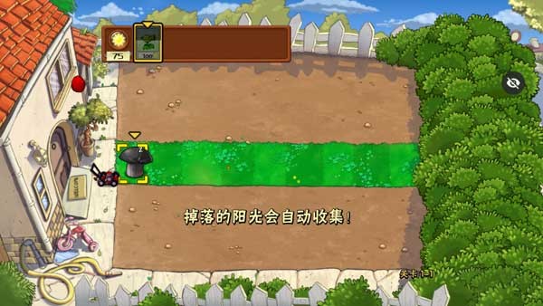 植物大战僵尸模仿者随机变