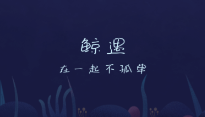 鲸遇