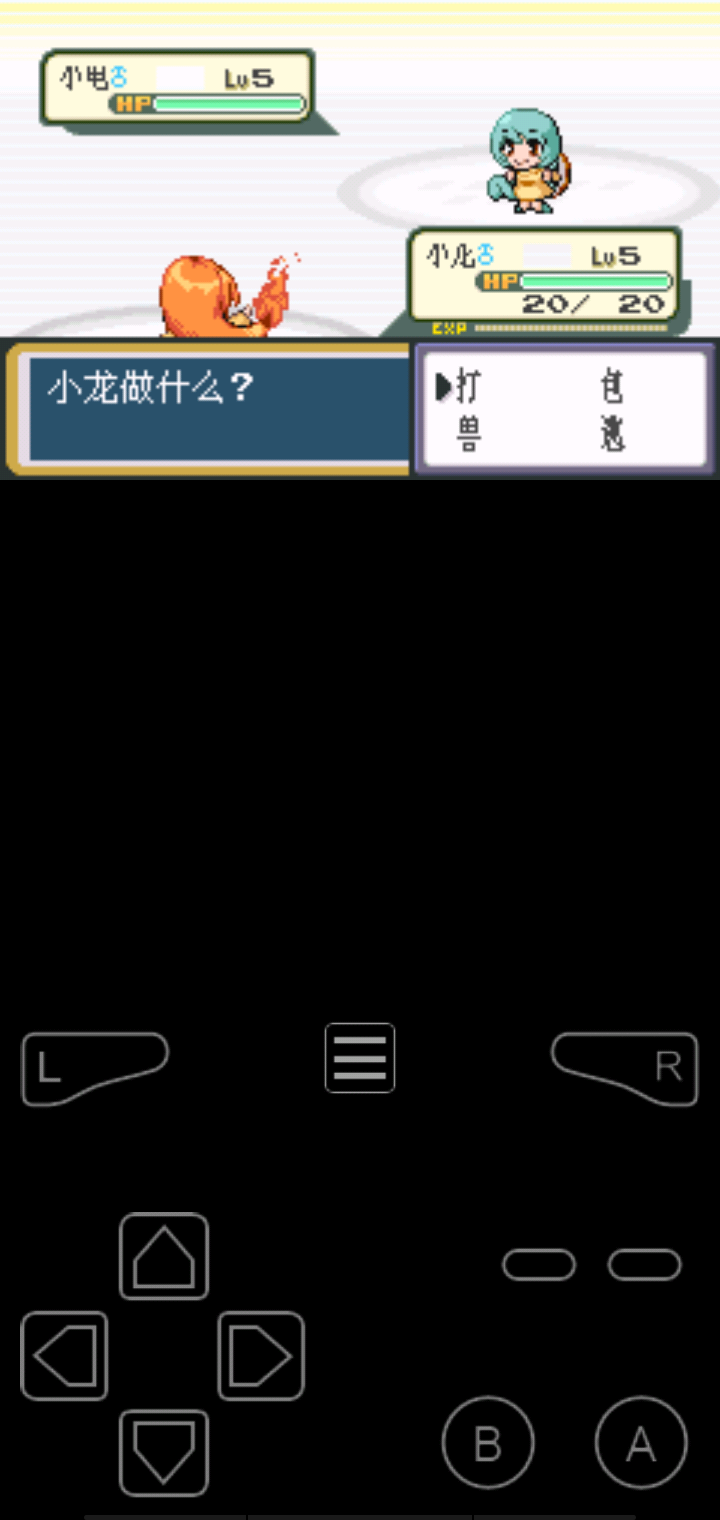 口袋妖怪火红全随机版