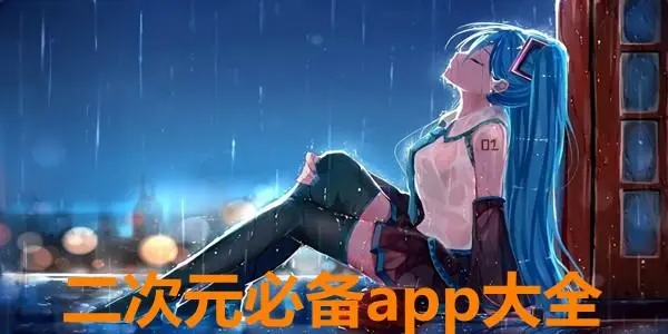 二次元必备