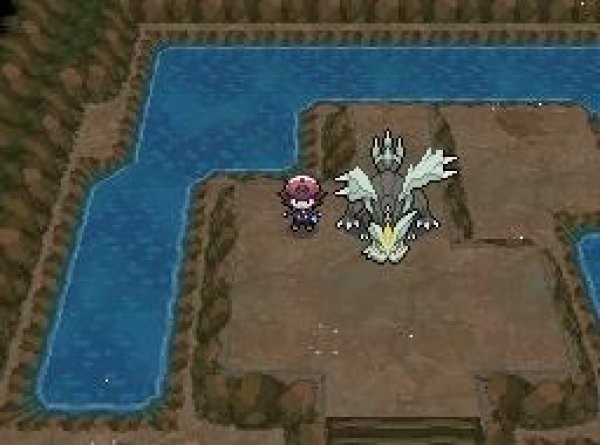 口袋妖怪黑白2 中文版