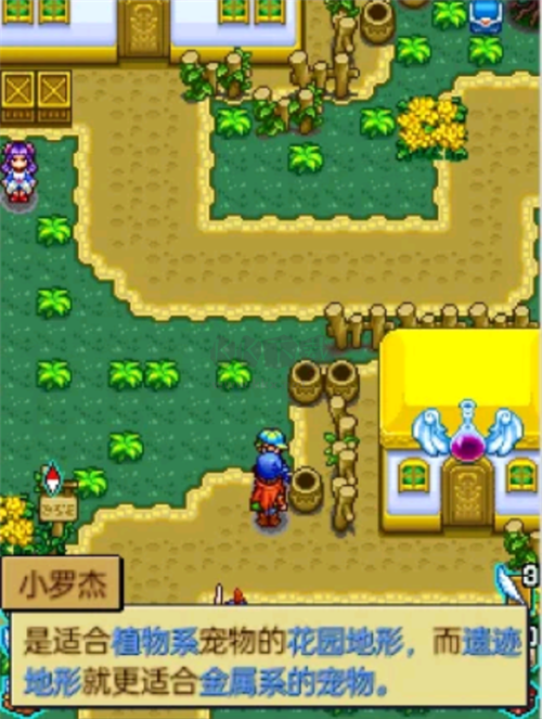 宠物王国4白金版