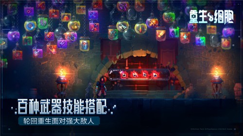 重生细胞DLC免费(DEAD CELLS)