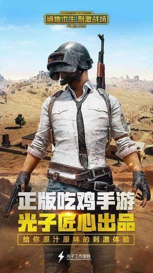 刺激战场截图5