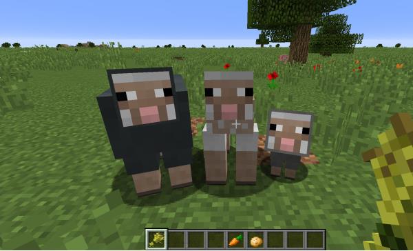 我的世界中文版