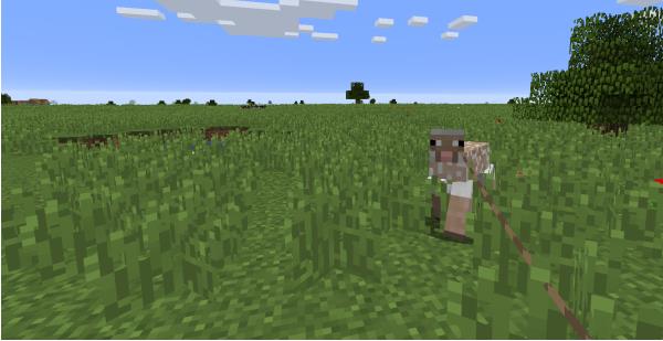 我的世界中文版