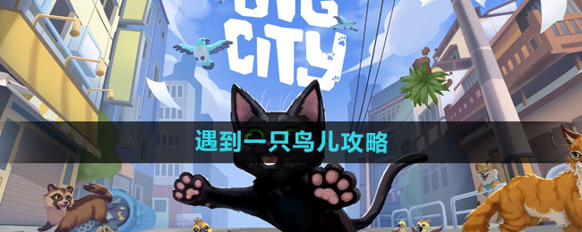 《小猫咪大城市》遇到一只鸟儿攻略