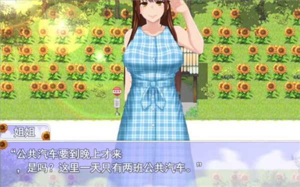 我的暑假秘密回忆繁星汉化版