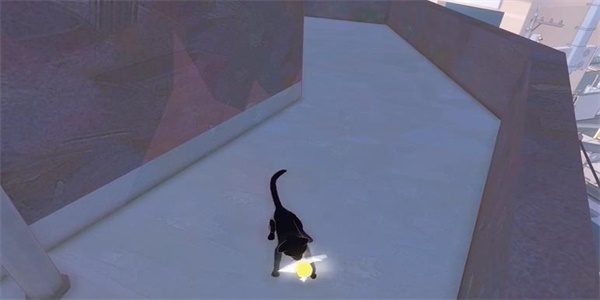 《小猫咪大城市》帽子收集攻略大全