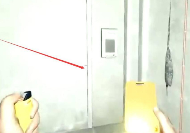 《森林》雪山实验室进入方法