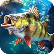 钓鱼大师华为版