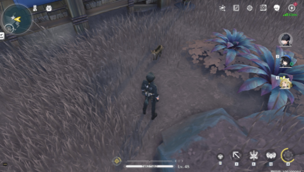 《鸣潮》妙宝堂隐藏小猫宝箱位置介绍