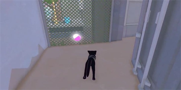 《小猫咪大城市》茄子帽收集方法