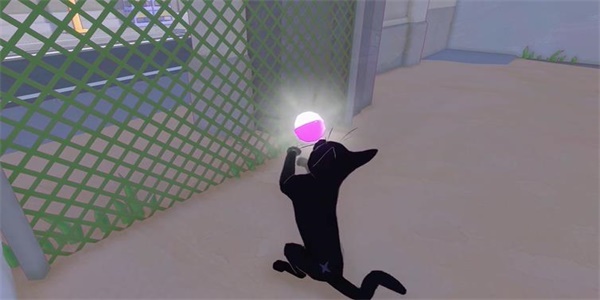 《小猫咪大城市》茄子帽收集方法