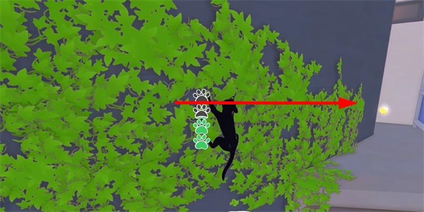 《小猫咪大城市》老虎帽收集方法