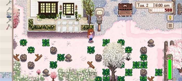 星露谷物语枫姨美化版