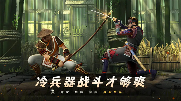 暗影格斗3汉化版截图1