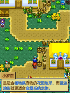 宠物王国4上帝版