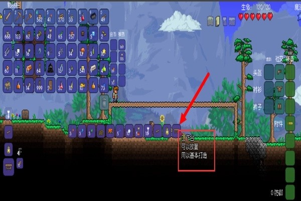 泰拉瑞亚免费版房屋如何让NPC入驻4