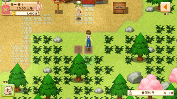 牧场物语希望之光截图2