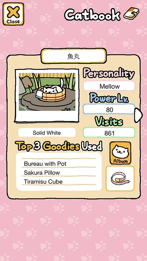 猫咪后院