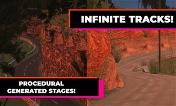 终极拉力赛3截图4