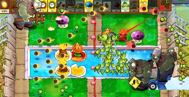 植物大战僵尸杂交版2.5