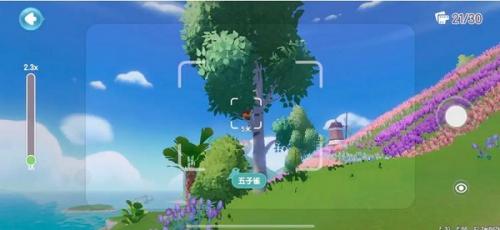 心动小镇鸟类在哪里出现