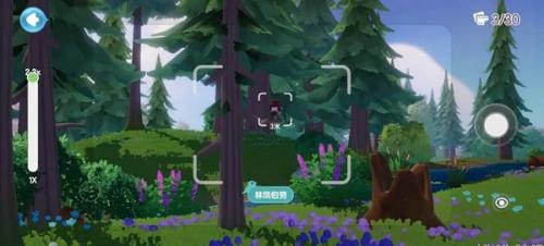 心动小镇鸟类在哪里出现