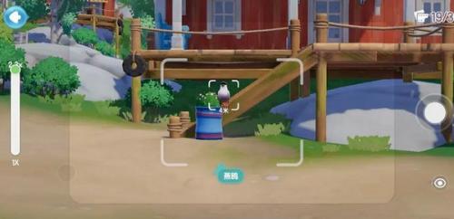 心动小镇鸟类在哪里出现